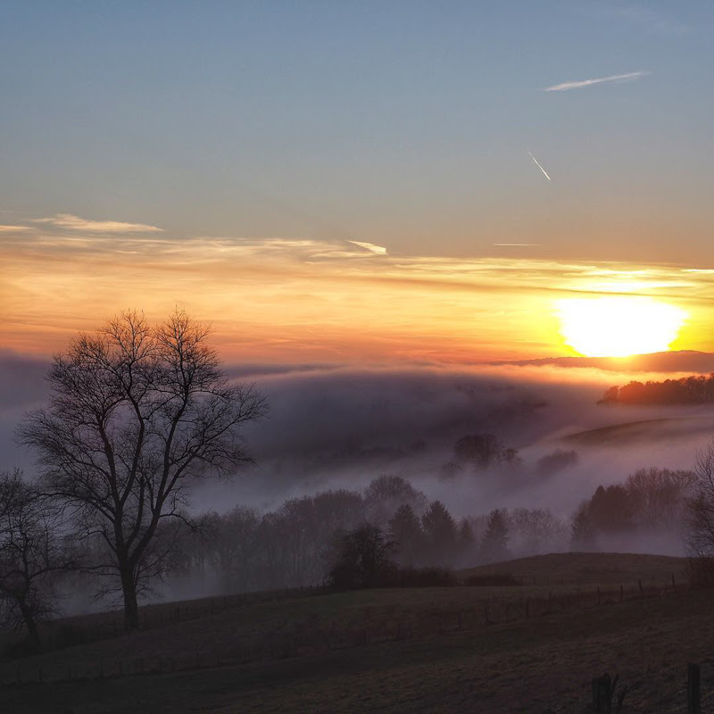 Beautiful Nature Photography by Olivier Richina from Switzerland.