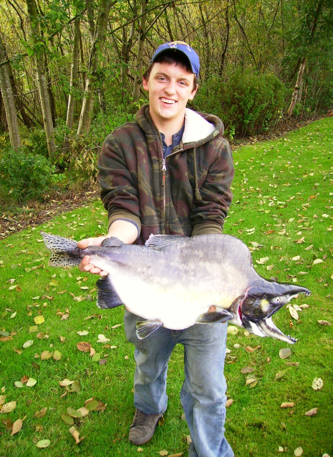 Big Fishes of the World SALMON PINK (Oncorhynchus gorbuscha)