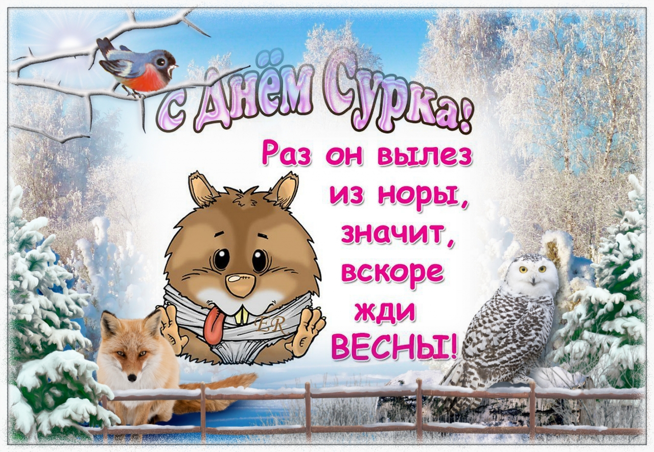 2 февраля день сурка открытки