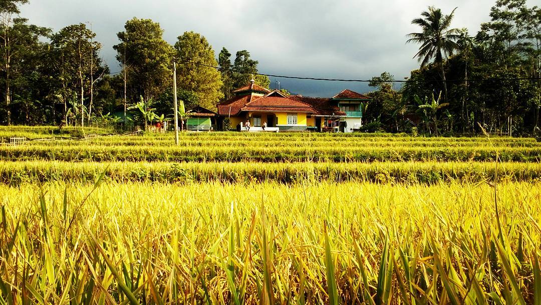 Desa Wisata Jawa Barat – Tempat Wisata Indonesia
