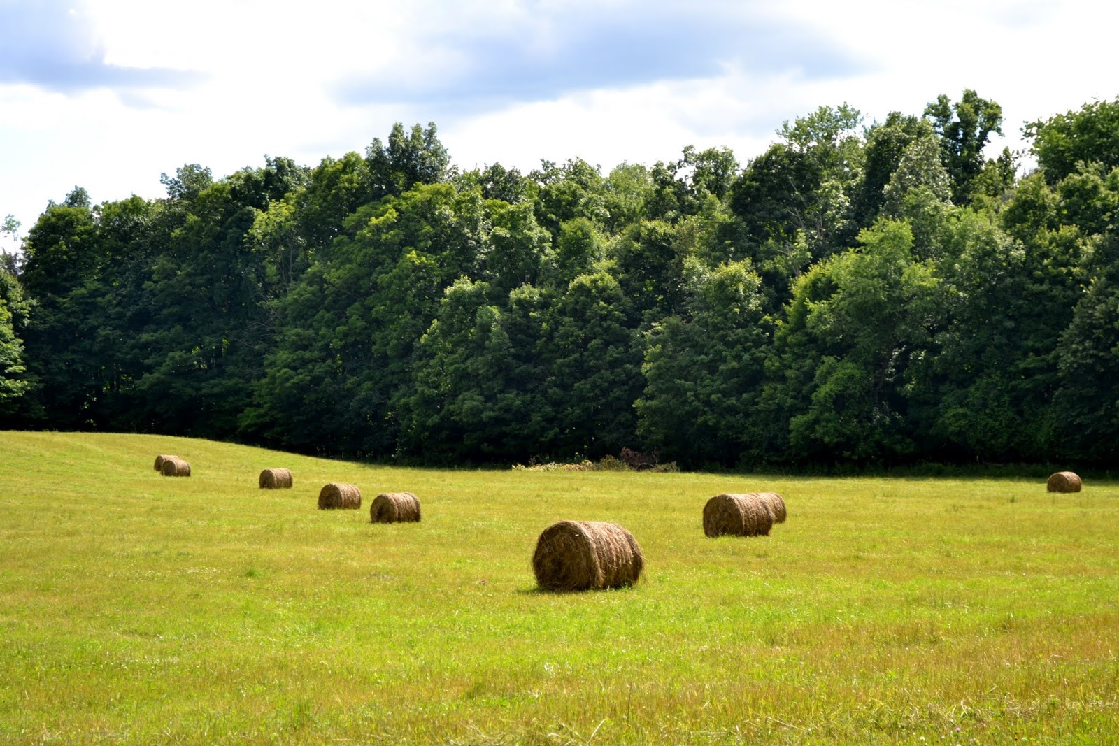 Парк Филмор Глен, штат Нью-Йорк (Fillmore Glen State Park, NY)