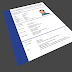 Cuales son los errores comunes en el Curriculum Vitae