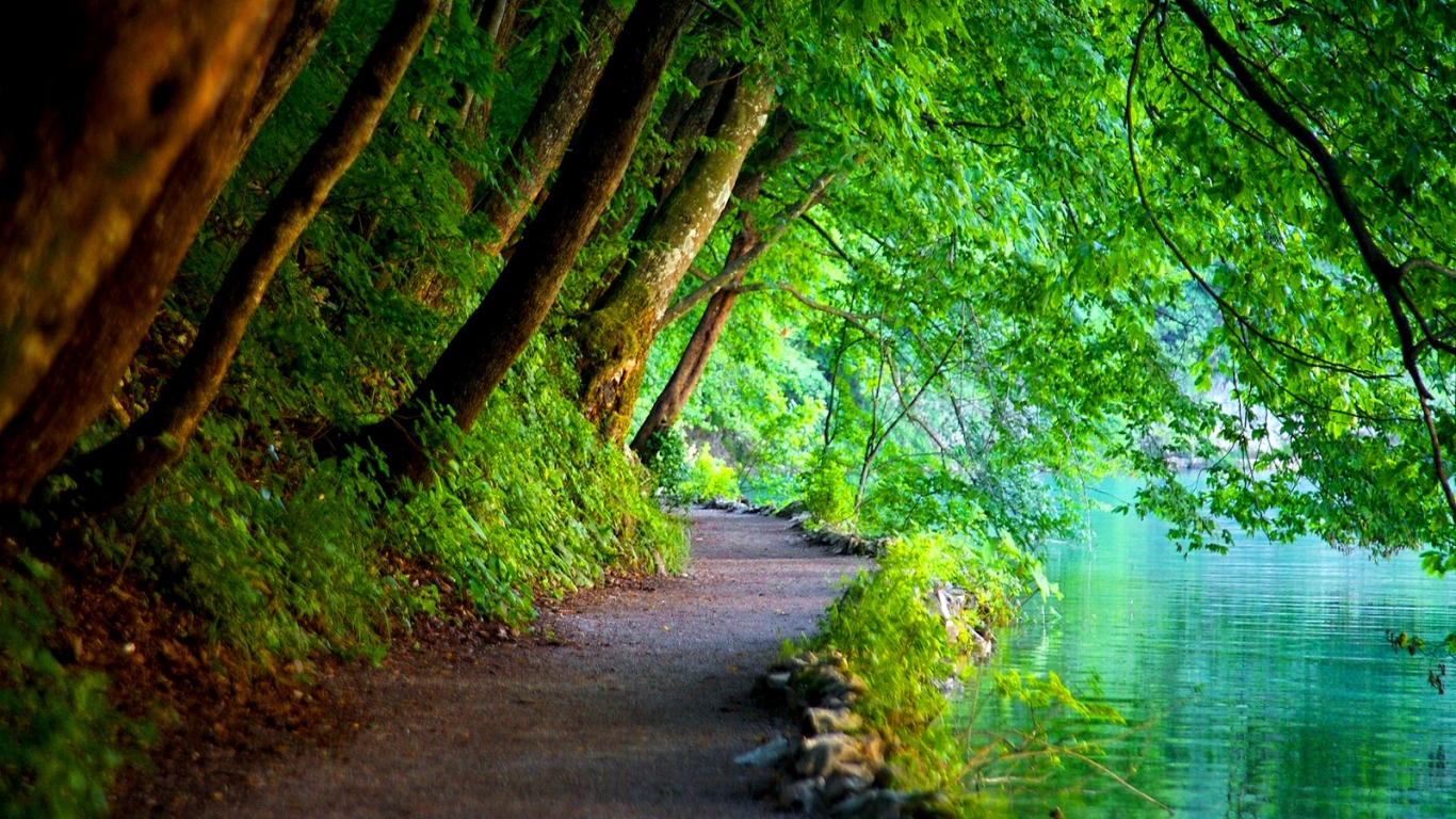 Free Nature Wallpaper Free Nature Wallpaper