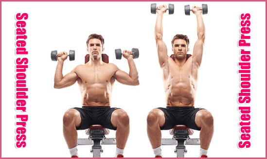 Seated Shoulder Press