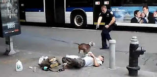 Policia matando cachorro