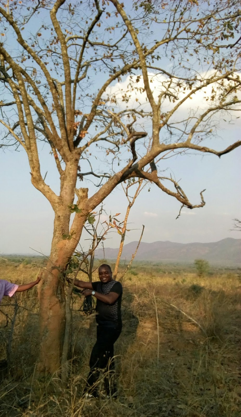 The Zambian Analyst Conservationist Replants Mukula Trees in Muchinga
