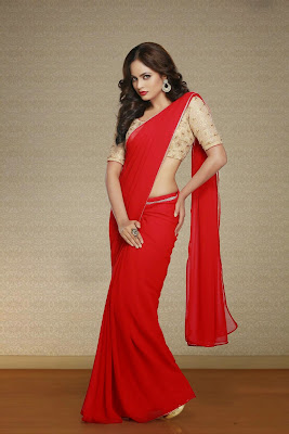 Actress Nanditha Swetha Saree Photos