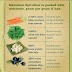 Everything You Need to Know About Our Favorite Super Food: Spirulina