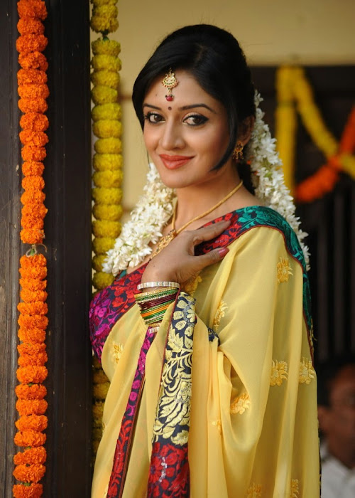 vimalaraman saree hq nowatermark glamour  images