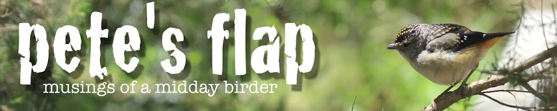 Pete's Flap Birding Aus