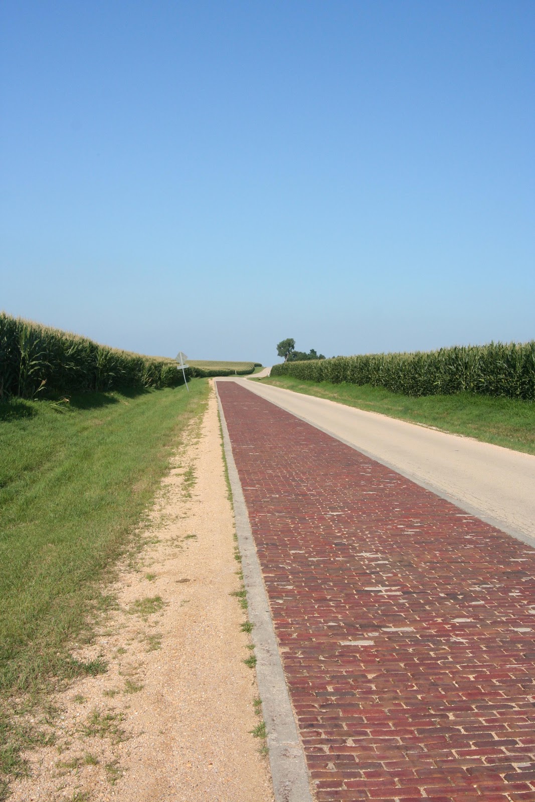 Brick Vector Picture: Brick Road