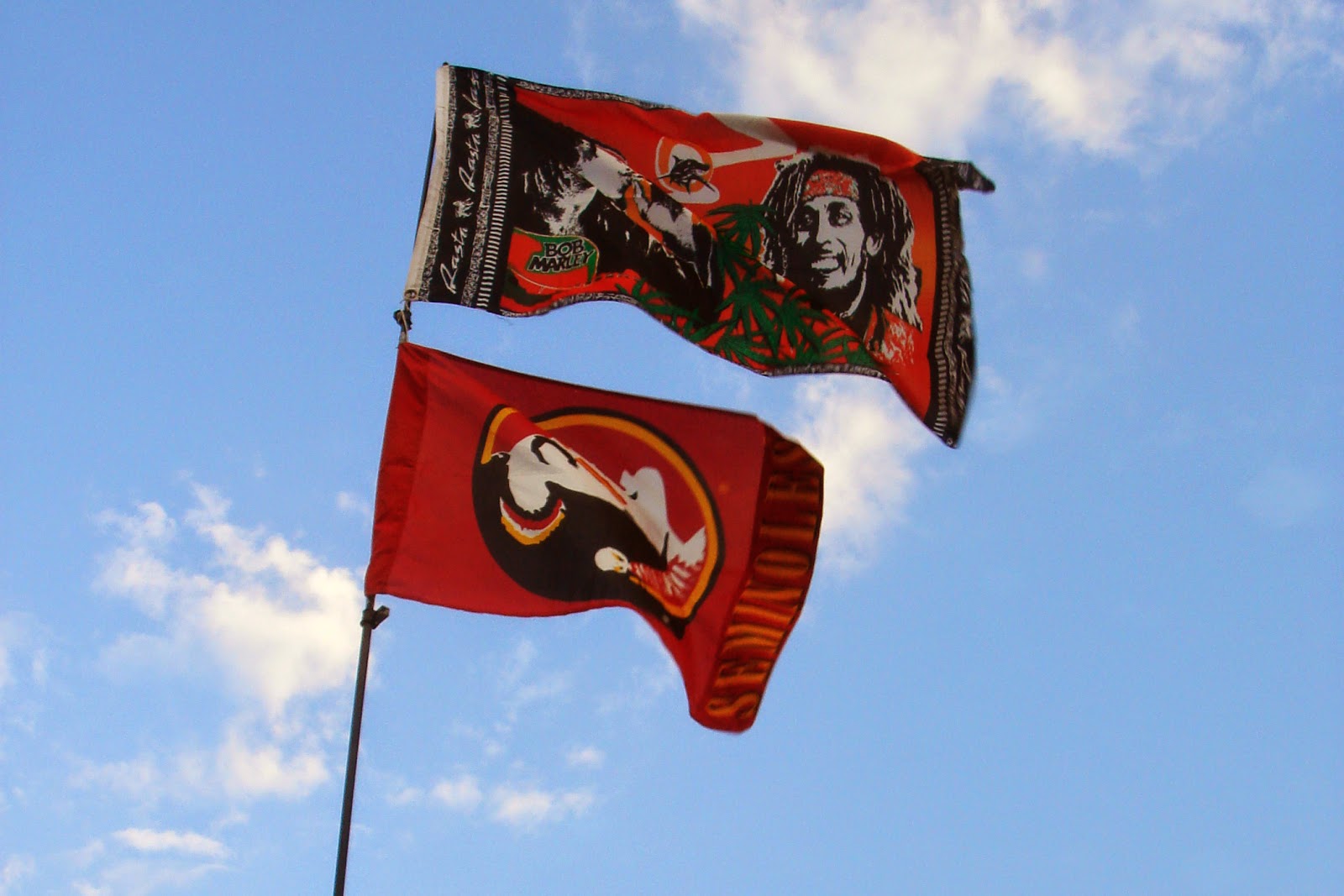 Bonnaroo flags 2007