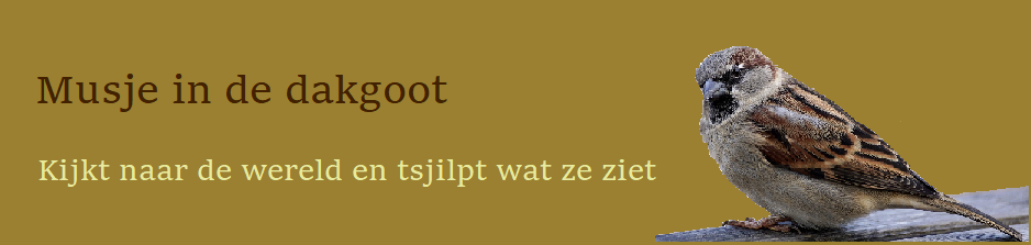 Musje in de Dakgoot