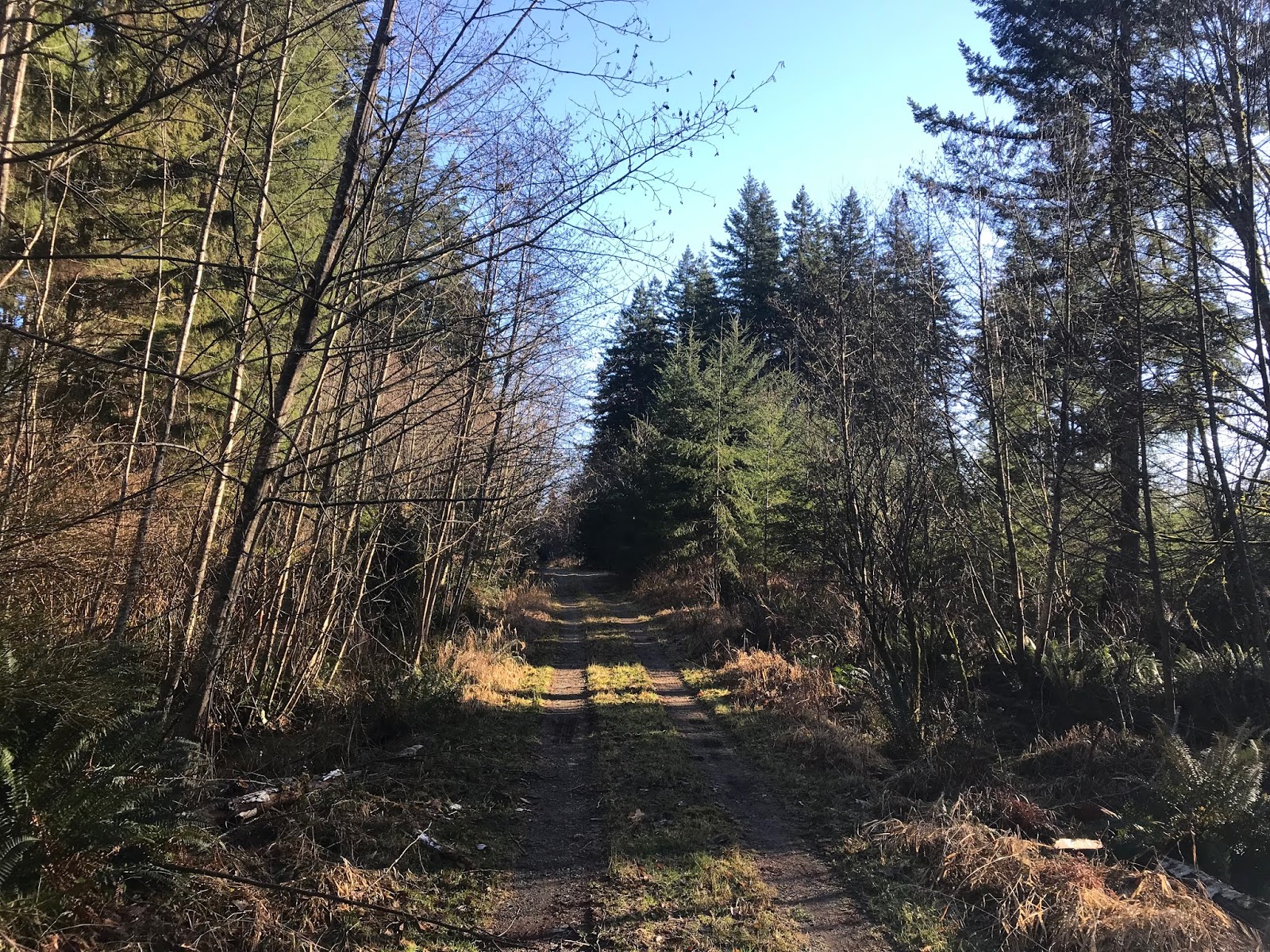 BC Oceanfront Agricultural Land Reserve (ALR) Properties