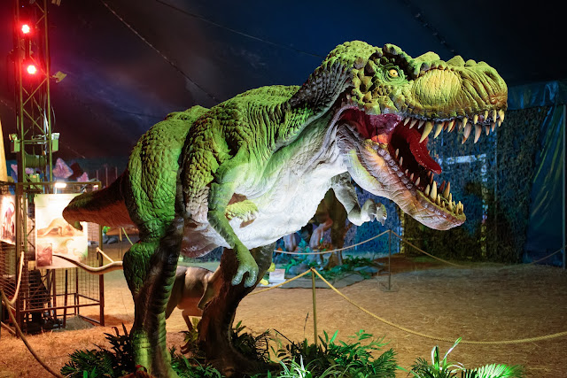 Экспозиция динозавров  - Dino Expo - Sant Feliu de Guixols