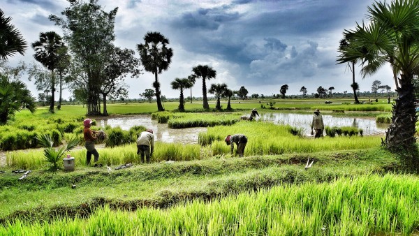 8 reasons why you should travel to Cambodia immediately 8 reasons why you should travel to Cambodia immediately