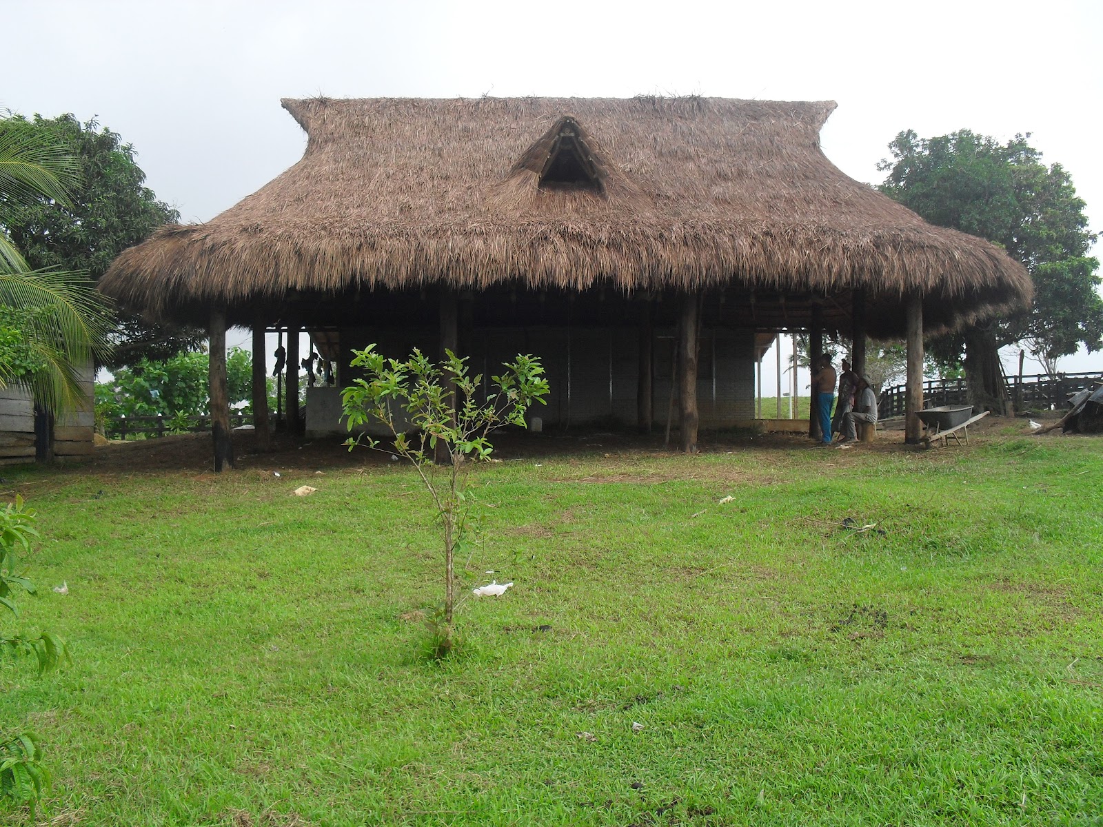 RANCHOS SAN GERONIMO PALMASORIANA RANCHOS SAN GERONIMO PALMASORIANA