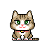 Animasi Kucing Lucu