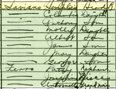 This 1930 census shows the Ferro family living with my Saviano family. Who are they?