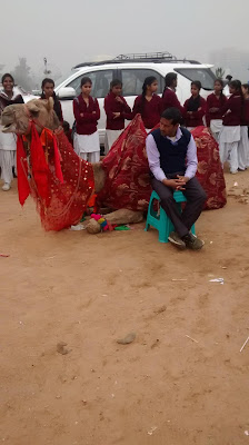 CAMEL RIDE AT SURAJKUND Amusement at Surajkund Mela