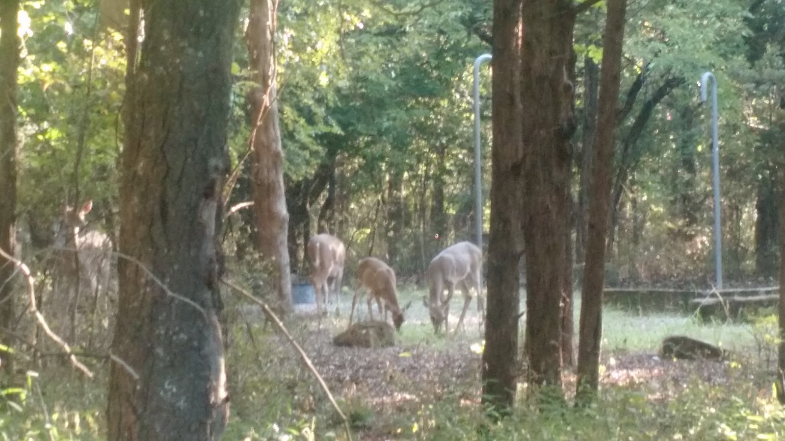 Get Twist And Zoom October 2017 Free Wallpaper Twist And Zoom October 2017 For Android Free