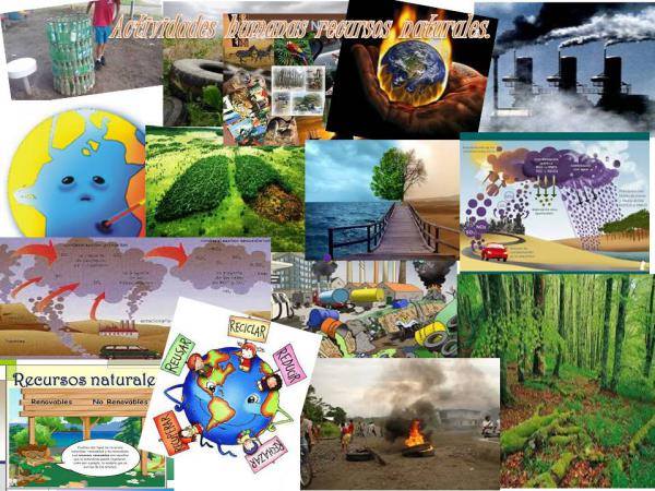 Dinámica De Ecosistema