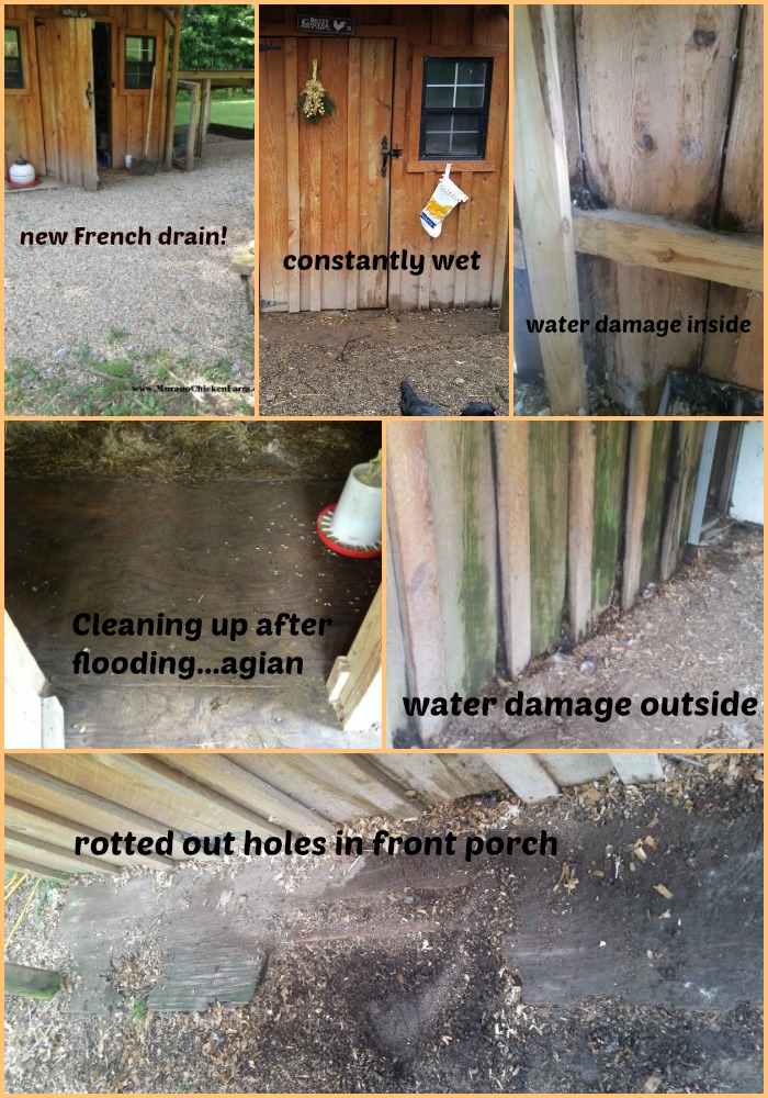 Murano Chicken Farm Our first coop the biggest mistake