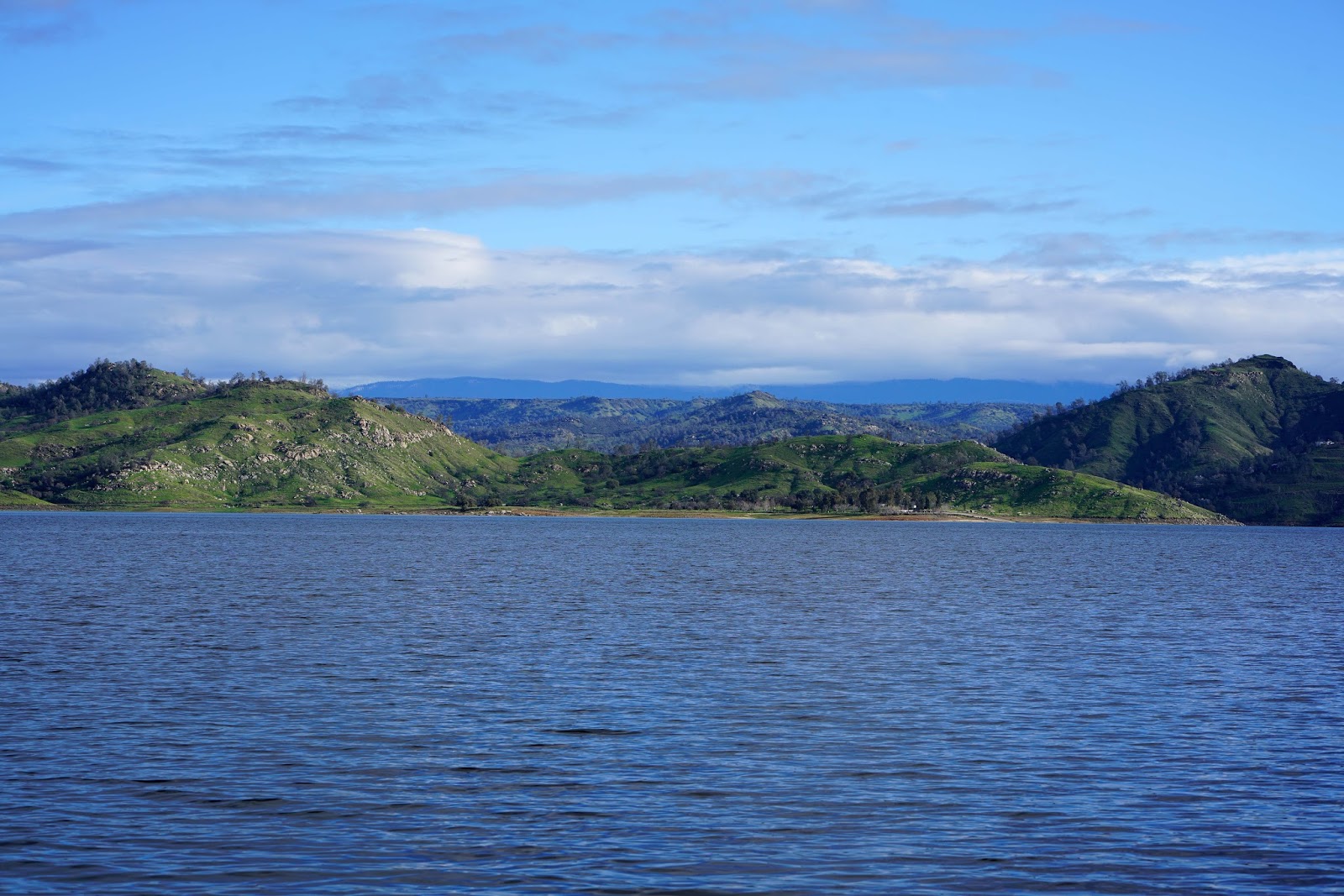 Mid Sierra Musings Millerton Lake Bald Eagle Tours