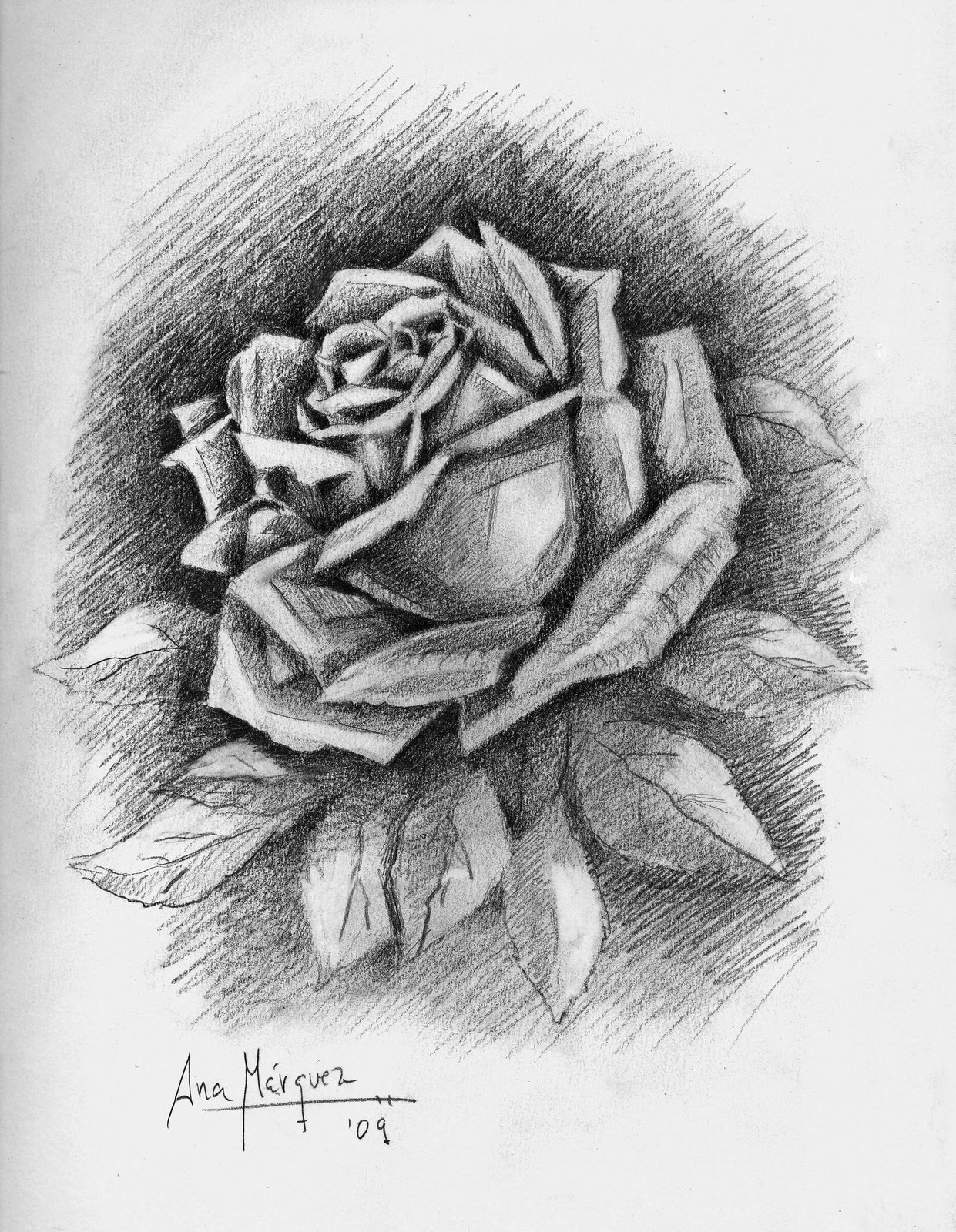 Featured image of post Rosas Dibujos A Lapiz Faciles De Copiar
