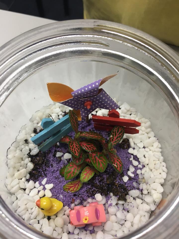 The 2 marks Terrarium Science Question