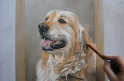retriever golden dog pastels painting drawing speed