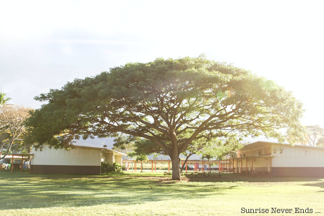 haleiwa,école,north shore,oahu,hawaii,pirogue