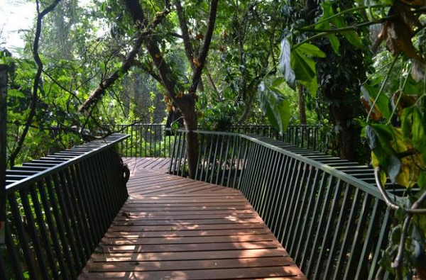 foto wisata forest walk babakan siliwangi bandung foto wisata forest walk babakan siliwangi bandung