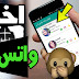فضيحة !! طريقة الحصول على ارقام فتيات و فتيان في الواتس اب من مدينتك بالالاف