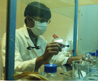 Meneliti di Fakultas Farmasi Universitas Sanata Dharma Yogyakarta
