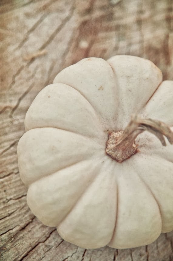 13+ White Pumpkin Iphone Wallpaper - Paseo Wallpaper