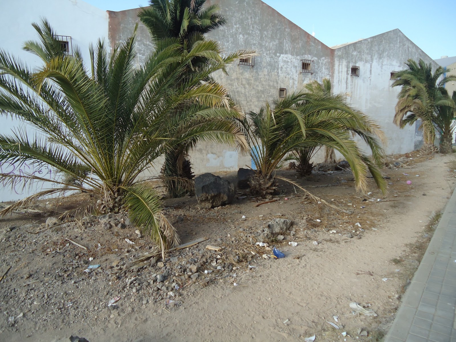 Telde Habla: LOS CEDROS 6 EN JINAMAR , ABANDONO Y OLVIDO.