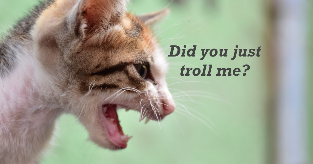 Thanks For The Troll, I Was Famous By Default