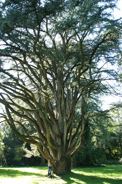 Reggia Caserta