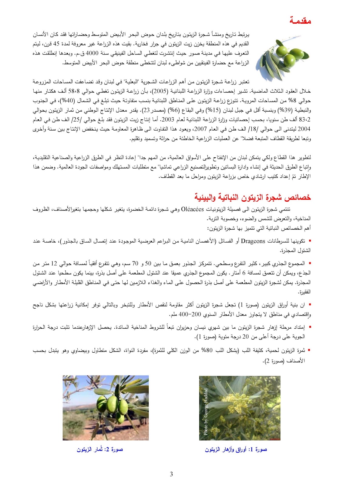 ليبيا زراعة بستنة تنسيق حدائق Agriculture Horticulture