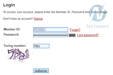 04.png