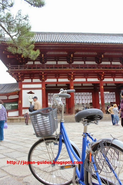 Todaiji Temple Nara Park กวางนารา