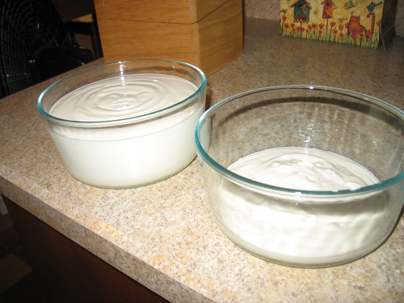 Newfashioned family recipes Think Greek yogurt is really good but