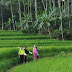Jalan-jalan – Air Terjun Kyai Kate