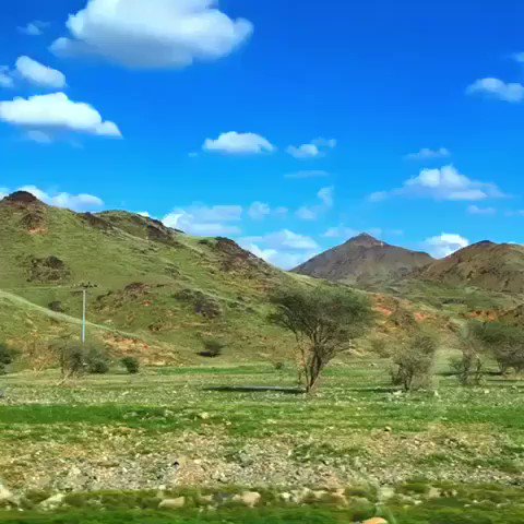 FOTOS: el desierto se convierte en verde en arabia saudita. FOTOS: el desierto se convierte en verde en arabia saudita.