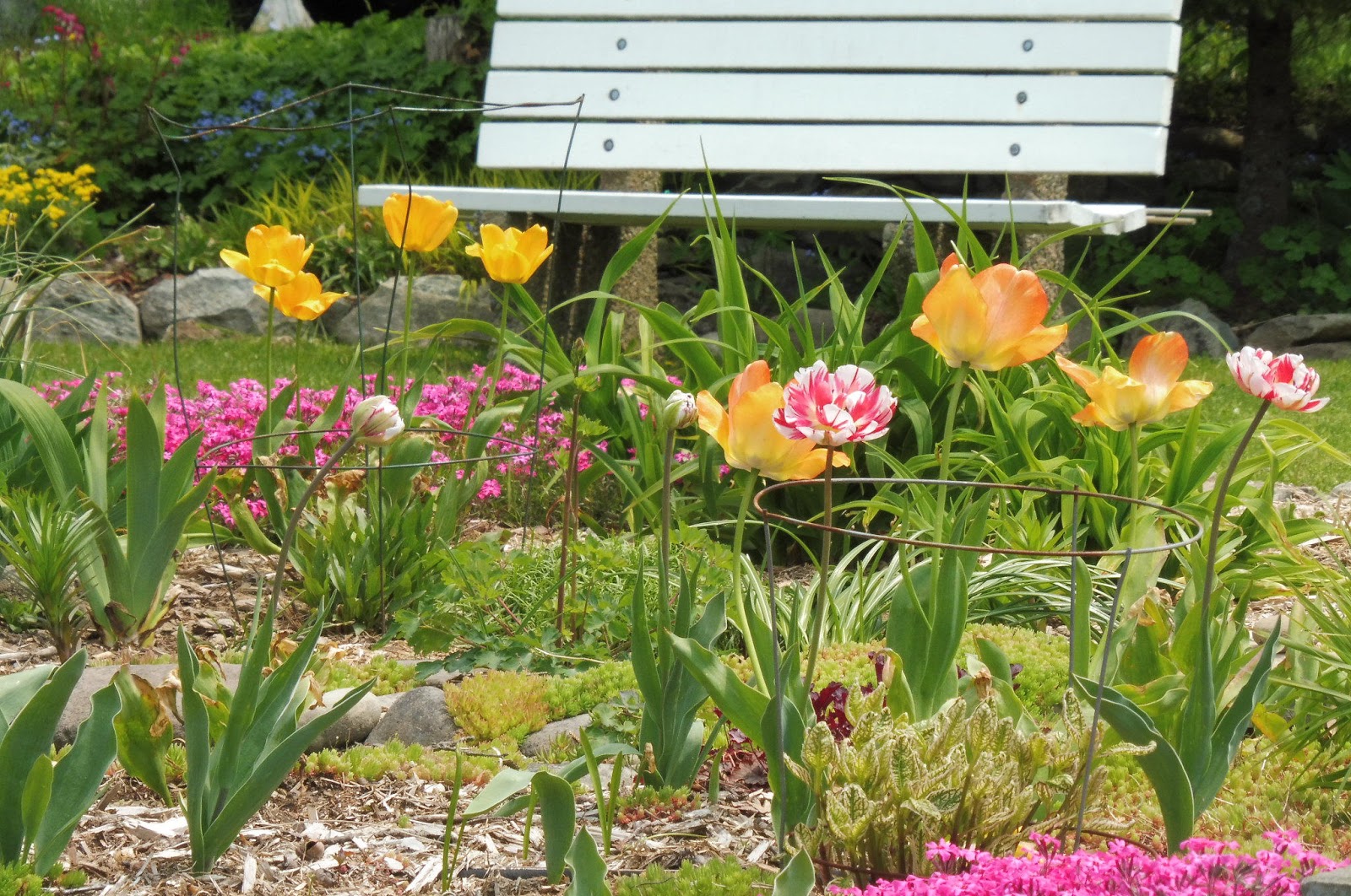 In Two Gardens