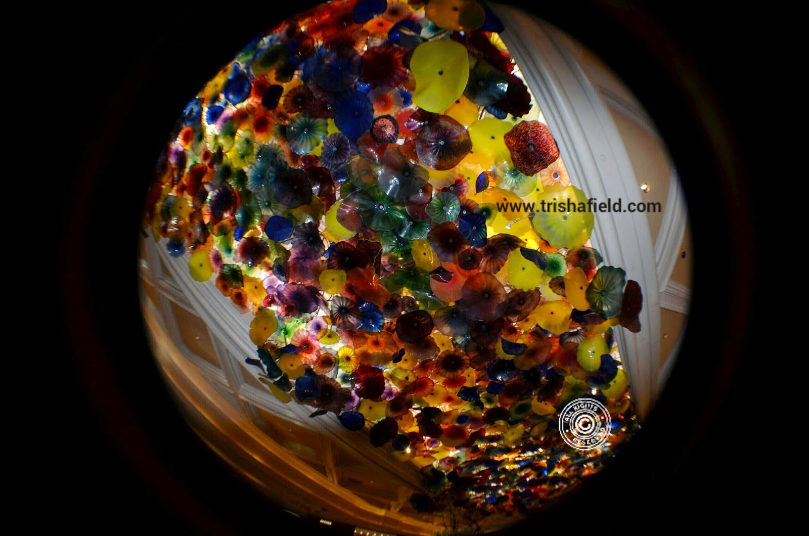 Fisheye view of flower art at Bellagio, Las Vegas