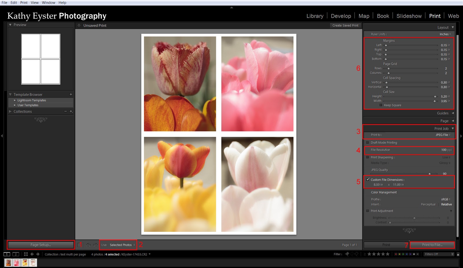 Easily Combine Multiple Pictures into One Lightroom