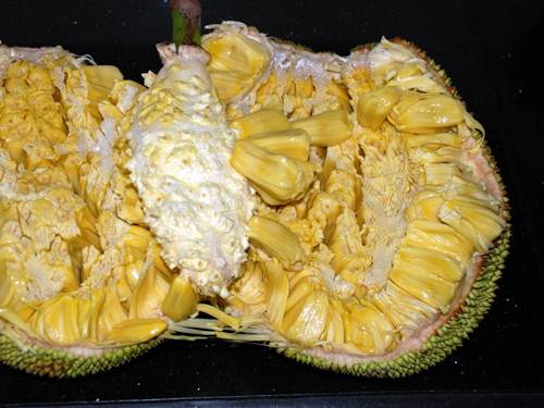 08-Jackfruit-open.jpg