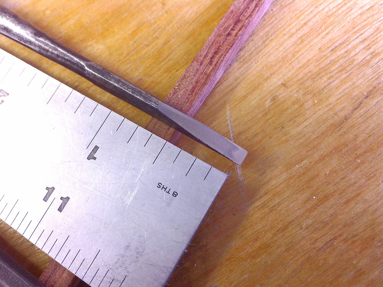 My peculiar nature Chisel rehab/therapy